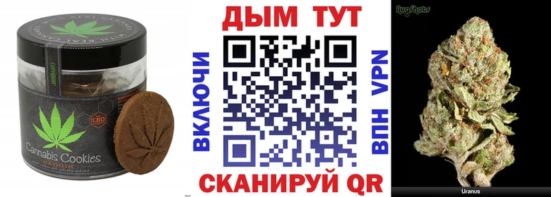 kraken как зайти  Фрязино  Canna-Cookies конопля 