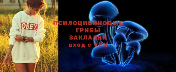 ГАЛЛЮЦИНОГЕННЫЕ ГРИБЫ Новосибирск