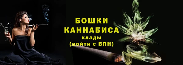 крисы Ростов