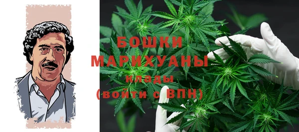 ГАЛЛЮЦИНОГЕННЫЕ ГРИБЫ Новосибирск