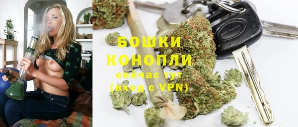гидра Лиски