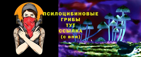 гидра Лиски