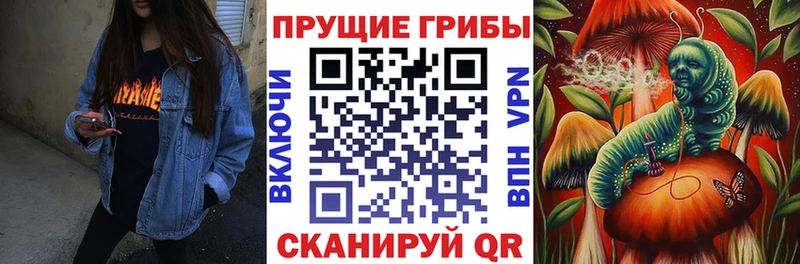 Псилоцибиновые грибы Psilocybe  Фрязино 