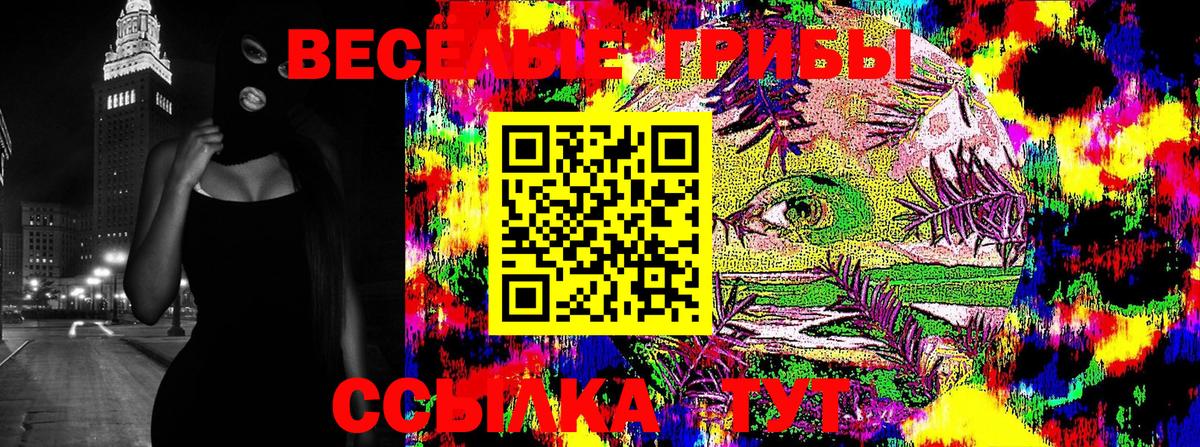 Фрязино  Псилоцибиновые грибы MAGIC MUSHROOMS  Псилоцибиновые грибы MAGIC MUSHROOMS  Вход с VPN 