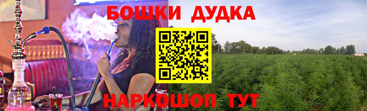 Конопля Bruce Banner  Каннабис план  МАРИХУАНА семена  Канабис Bruce Banner  Фрязино  Вход с VPN 